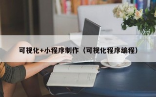 贺州可视化+小程序制作（可视化程序编程）